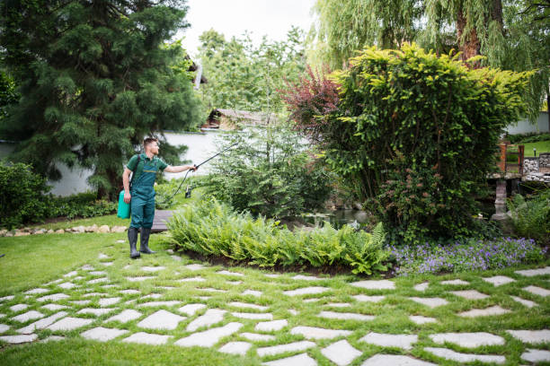 Best Pest Control Near Me  in Ashley, OH