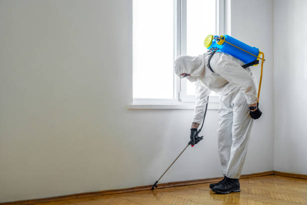 Best Emergency Pest Control  in Ashley, OH