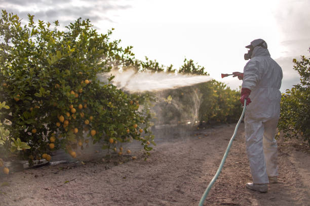 Best Residential Pest Control  in Ashley, OH