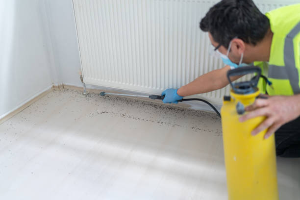 Best Best Pest Control Companies  in Ashley, OH